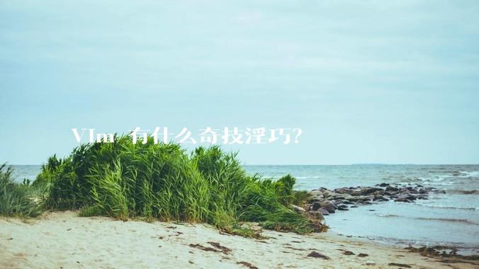 Vim 有什么奇技淫巧？