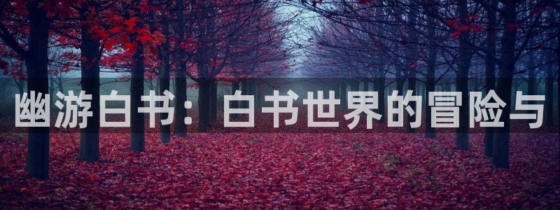 银河(galaxy)官网ios下载：幽游白书：白书世界的冒险