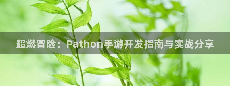 28大神网页：超燃冒险：Pathon手游开发指南与实战分享