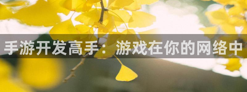 大神pc28开奖结果：手游开发高手：游戏在你的网络中