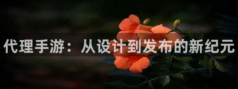 银河(galaxy)官网预测在线预测专业28：代理手游：从设