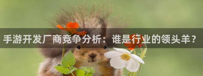 大神pc28预测：手游开发厂商竞争分析：谁是行业的领头羊？